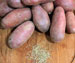 Ovnbagte røde kartofler